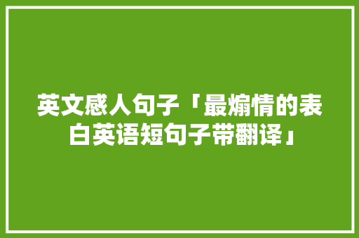英文感人句子「最煽情的表白英语短句子带翻译」 英文感人句子「最煽情的表白英语短句子带翻译」 表白句子
