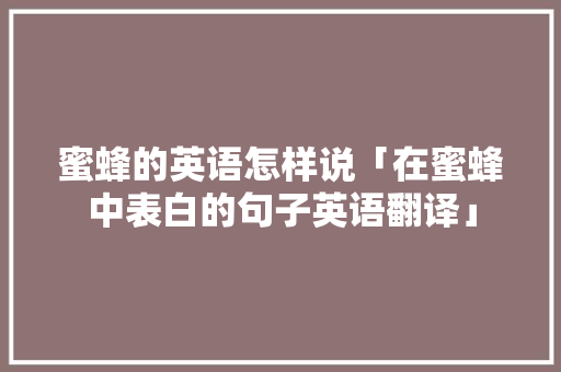 蜜蜂的英语怎样说「在蜜蜂中表白的句子英语翻译」 蜜蜂的英语怎样说「在蜜蜂中表白的句子英语翻译」 土味情话