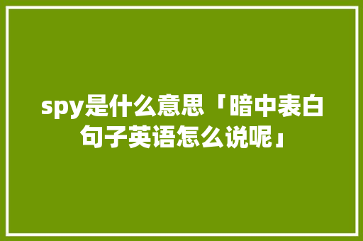 spy是什么意思「暗中表白句子英语怎么说呢」