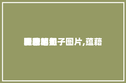 蕴藉的表明暗恋的句子图片,蕴藉表明图片笔墨。 蕴藉的表明暗恋的句子图片,蕴藉表明图片笔墨。 表白句子