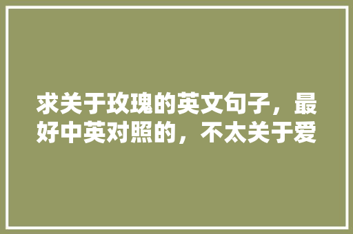 求关于玫瑰的英文句子，最好中英对照的，不太关于爱情的那种「玫瑰表白英语句子简短一点」 求关于玫瑰的英文句子，最好中英对照的，不太关于爱情的那种「玫瑰表白英语句子简短一点」 撩妹套路
