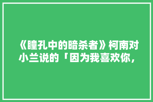 《瞳孔中的暗杀者》柯南对小兰说的「因为我喜欢你，比地球上任何一个人都喜欢」在句式上有歧义吧「英语语法表白的句子有哪些」 《瞳孔中的暗杀者》柯南对小兰说的「因为我喜欢你，比地球上任何一个人都喜欢」在句式上有歧义吧「英语语法表白的句子有哪些」 恋爱技巧