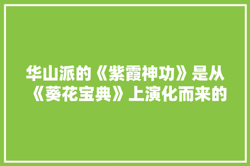 华山派的《紫霞神功》是从《葵花宝典》上演化而来的吗「至尊宝表白的英语句子有哪些」