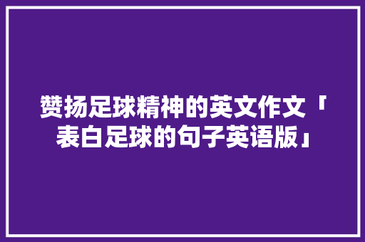 赞扬足球精神的英文作文「表白足球的句子英语版」