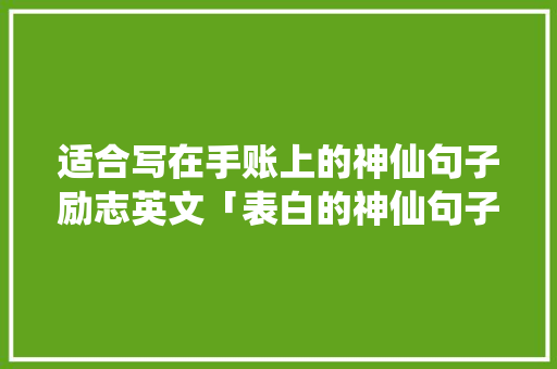 适合写在手账上的神仙句子励志英文「表白的神仙句子英语简短」