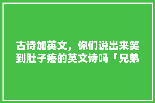 古诗加英文，你们说出来笑到肚子疼的英文诗吗「兄弟发的英语表白句子搞笑图片」 古诗加英文，你们说出来笑到肚子疼的英文诗吗「兄弟发的英语表白句子搞笑图片」 撩妹套路
