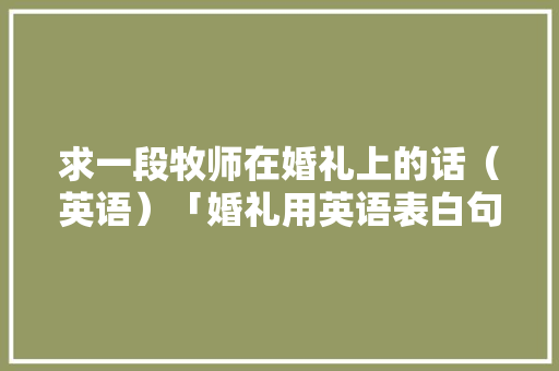 求一段牧师在婚礼上的话（英语）「婚礼用英语表白句子简短一点」