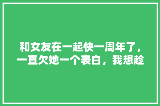 和女友在一起快一周年了，一直欠她一个表白，我想趁此机会给她个惊喜，可否给点建议「用英语双重翻译表白句子怎么写」