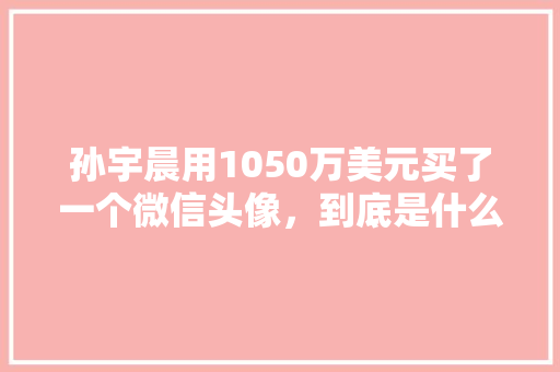 孙宇晨用1050万美元买了一个微信头像，到底是什么目的呢「英文表白头像」