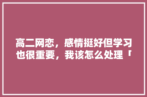 高二网恋，感情挺好但学习也很重要，我该怎么处理「英语网恋表白句子大全简短」 高二网恋，感情挺好但学习也很重要，我该怎么处理「英语网恋表白句子大全简短」 聊天话题