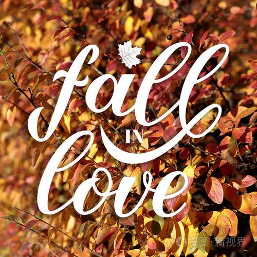 fall in love文案分享「表白的英语句子白色字体怎么写」 撩妹套路 fall in love文案分享「表白的英语句子白色字体怎么写」 fall in love文案分享「表白的英语句子白色字体怎么写」 撩妹套路