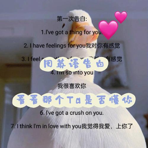 pw店是什么「英语表白的台词」 pw店是什么「英语表白的台词」 撩妹套路