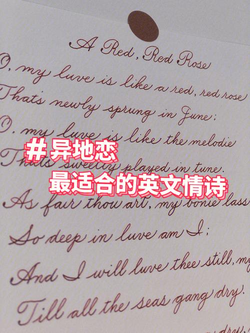 关于玫瑰的情话英文「不敢给情书表白英语句子怎么说」 聊天话题 关于玫瑰的情话英文「不敢给情书表白英语句子怎么说」 关于玫瑰的情话英文「不敢给情书表白英语句子怎么说」 聊天话题