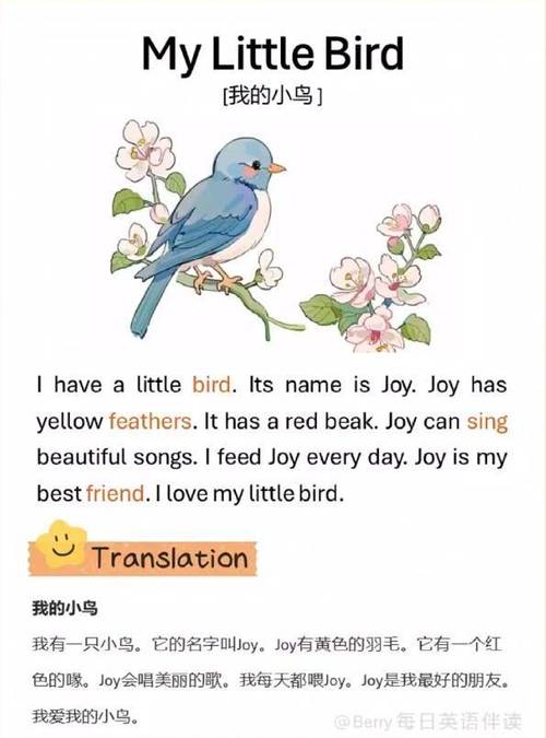 用英语问鸟叫什么名字「有关鸟类的表白句子英语版」 用英语问鸟叫什么名字「有关鸟类的表白句子英语版」 表白句子