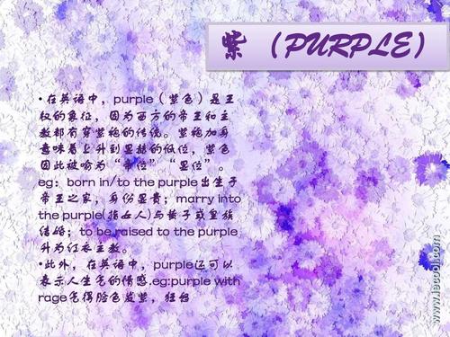 紫色心情的英文文案「用紫色的英语表白句子简短」 表白句子 紫色心情的英文文案「用紫色的英语表白句子简短」 紫色心情的英文文案「用紫色的英语表白句子简短」 表白句子