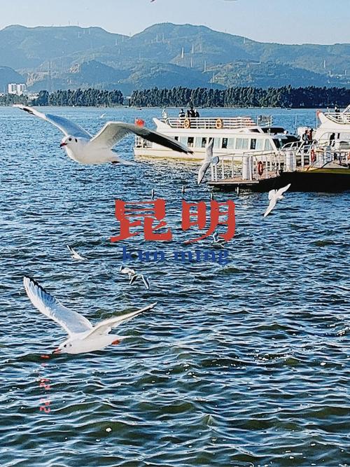 和你交往的人说海鸟和鱼相爱只是一场意外,是什么意思「隐含表白英语句子有哪些呢」 表白句子 和你交往的人说海鸟和鱼相爱只是一场意外,是什么意思「隐含表白英语句子有哪些呢」 和你交往的人说海鸟和鱼相爱只是一场意外,是什么意思「隐含表白英语句子有哪些呢」 表白句子